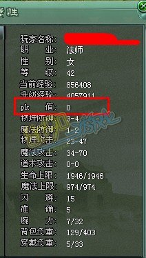 传奇网页游戏PK值